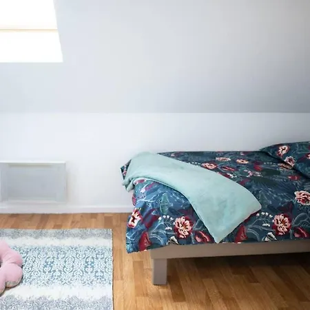Daire Duplex Equipe, Proche Centre-ville Colmar, Parking